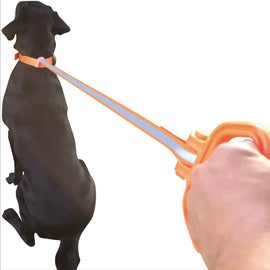 Universal Dog Leash Handle - Orange